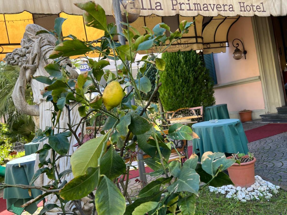 Hotel Villa Primavera Pisa Ngoại thất bức ảnh